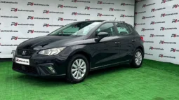 
										Seat Ibiza full									