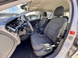 
										VW e-Golf Standard full									
