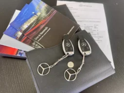 
										Mercedes-Benz E 250 BlueTEC Avantgarde Auto. full									