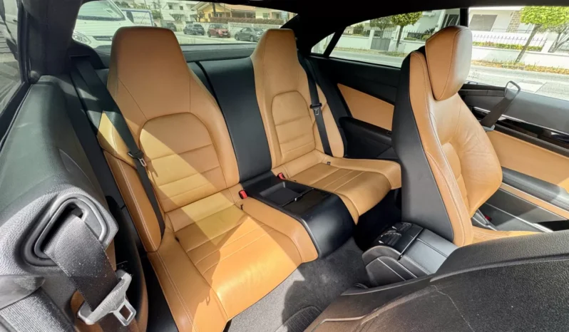 
								Mercedes-Benz E 220 CDI BlueEfficiency Auto full									