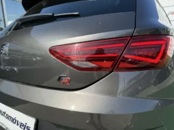 
										Seat Leon full									