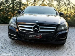 
										Mercedes-Benz CLS 250 CDI BlueEfficiency full									
