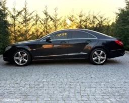 
										Mercedes-Benz CLS 250 CDI BlueEfficiency full									