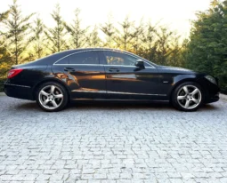
										Mercedes-Benz CLS 250 CDI BlueEfficiency full									