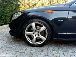 
										Mercedes-Benz CLS 250 CDI BlueEfficiency full									