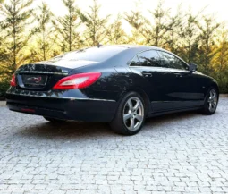 
										Mercedes-Benz CLS 250 CDI BlueEfficiency full									