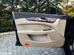 
										Mercedes-Benz CLS 250 CDI BlueEfficiency full									