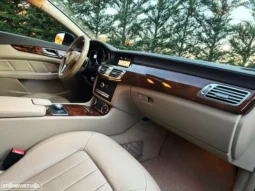 
										Mercedes-Benz CLS 250 CDI BlueEfficiency full									