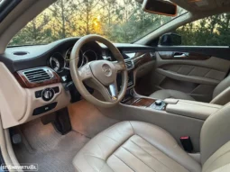 
										Mercedes-Benz CLS 250 CDI BlueEfficiency full									