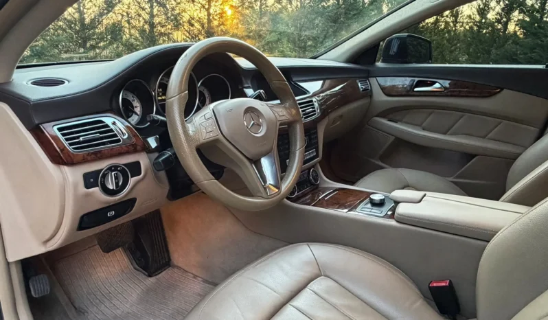 
								Mercedes-Benz CLS 250 CDI BlueEfficiency full									