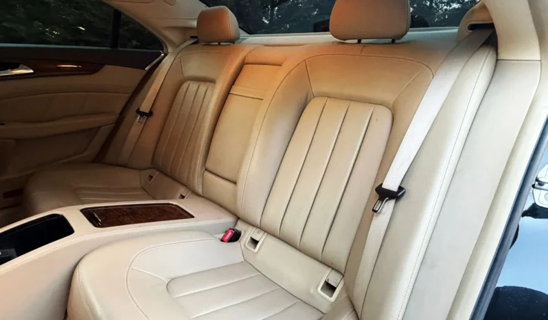 
								Mercedes-Benz CLS 250 CDI BlueEfficiency full									
