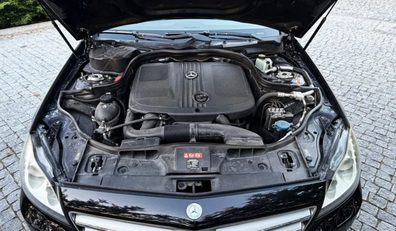 
								Mercedes-Benz CLS 250 CDI BlueEfficiency full									