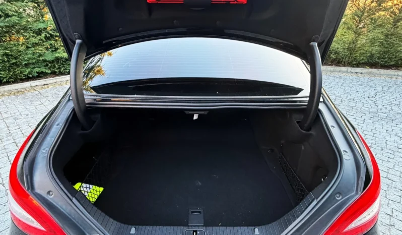 
								Mercedes-Benz CLS 250 CDI BlueEfficiency full									