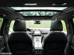 
										DS DS7 Crossback BlueHDI 130 Aut. Performance Line + full									