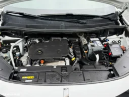 
										DS DS7 Crossback BlueHDI 130 Aut. Performance Line + full									