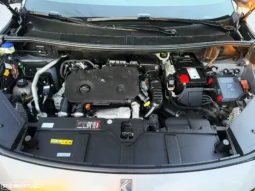 
										DS DS7 Crossback 1.5 BlueHDi Rivoli EAT8 full									