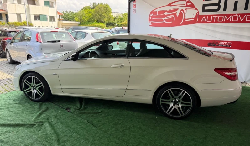 
								Mercedes-Benz E 250 CDI Avantgarde BlueEfficiency full									