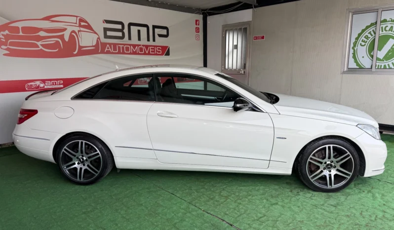 
								Mercedes-Benz E 250 CDI Avantgarde BlueEfficiency full									