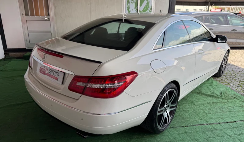 
								Mercedes-Benz E 250 CDI Avantgarde BlueEfficiency full									