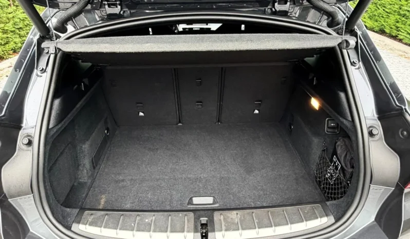 
								BMW X2 16 d sDrive Auto Pack M full									