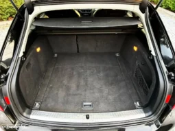
										Audi A4 2.0 TDI S-line S tronic full									